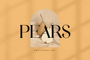 Modest Steady Display Serif Font, a Serif Font by UICreative (Thumbnail 5 of 13)