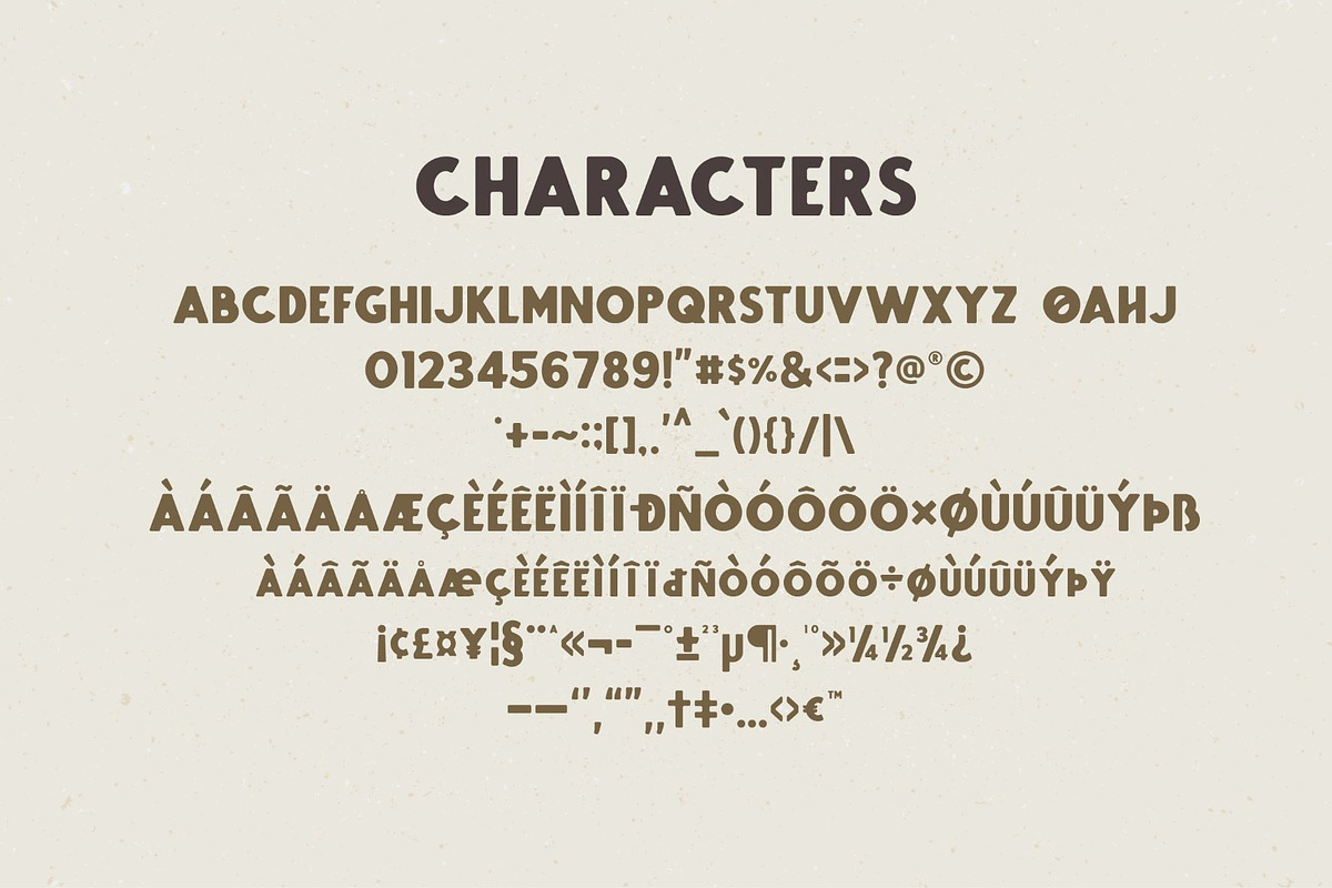 RAFFTER Sans Serif, a Sans Serif Font by West Weird (Photo 3 of 7)