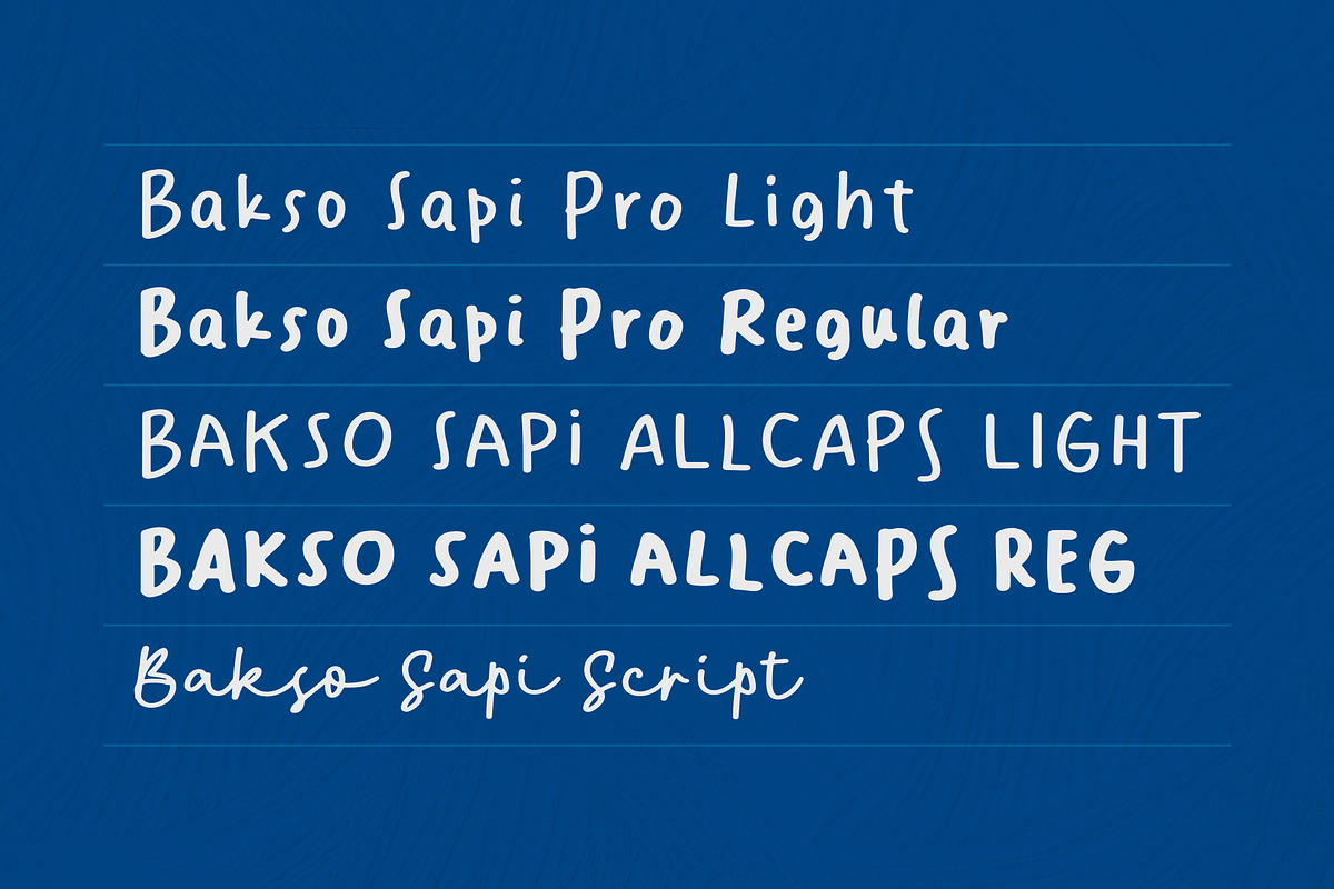 BaksoSapi Pro, a Handwritten Font by Locomotype (Photo 2 of 10)