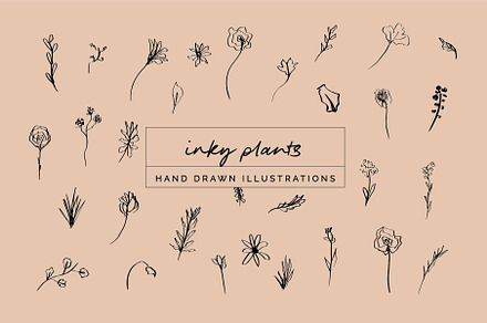 Floral Botanical Plant Illustrations