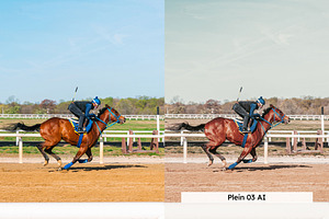 20 Equestrian Lightroom Presets LUTs