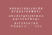 Burnout Techniques Elegant Condensed, a Sans Serif Font by BrandSemut (Thumbnail 7 of 8)