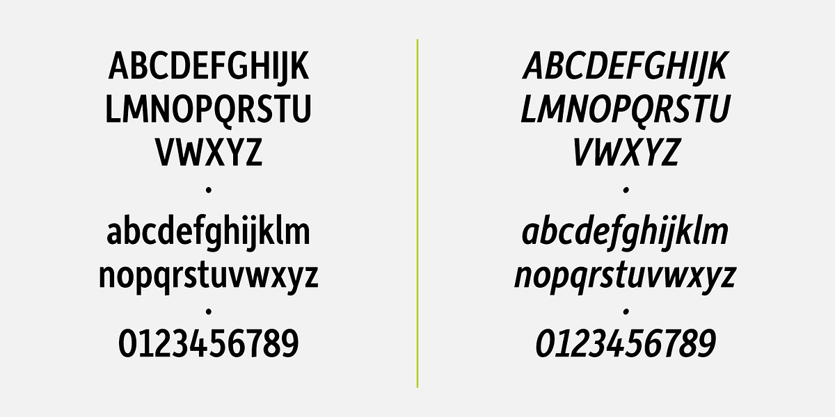Depot New Condensed, a Sans Serif Font by Moretype (Photo 5 of 5)