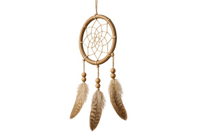 Dreamcatcher with feathers isolated, an Illustration by Dvoevnore photos