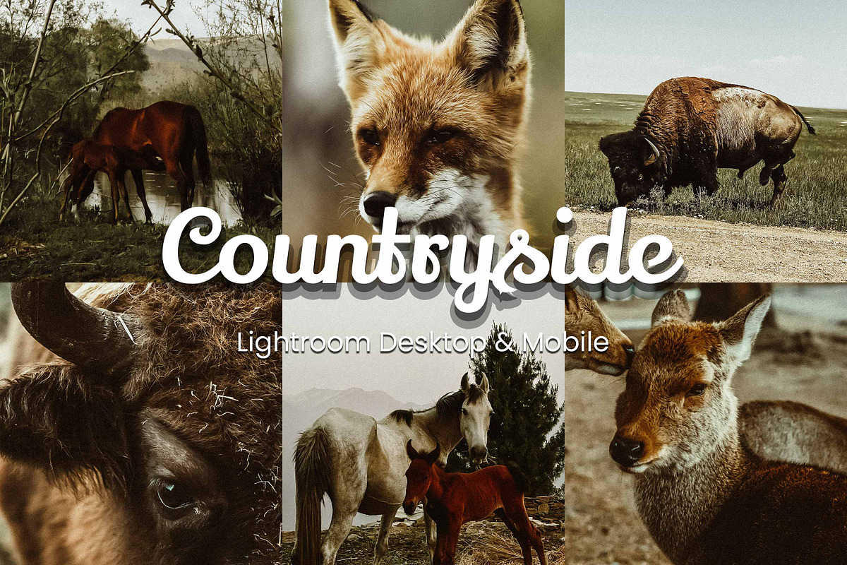 30 Countryside Lightroom Bundle, a Preset Add-On by 3Motional (Photo 1 of 11)