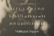 Bildan Modern Ligature Serif, a Serif Font by Alfinart (Thumbnail 9 of 10)