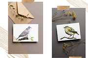 Watercolor Birds Clip Arts and Cards, an Education Illustration by Tati Bordiu (Thumbnail 4 of 5)