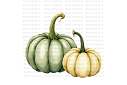 Sage Green Pumpkins, a Decorative Illustration by Bloom Craft Creations (Thumbnail 9 of 12)
