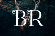 Cabestro Modern Serif Display Font, a Serif Font by UICreative (Thumbnail 2 of 13)