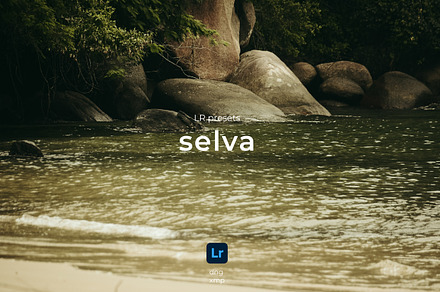 LR presets Selva