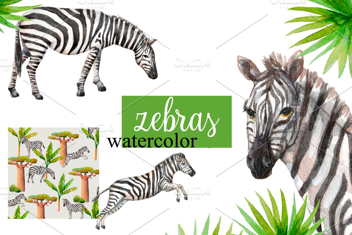 Watercolor zebras and plants., an Animal Illustration by yulia.sukhanova (Photo 1 of 3)