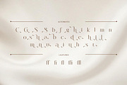 Golden Century Modern Elegant Serif, a Serif Font by BrandSemut (Thumbnail 10 of 10)