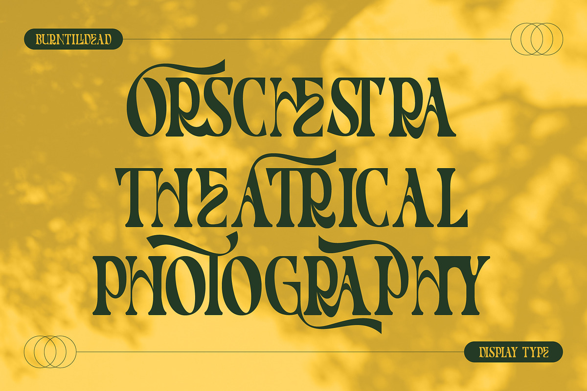 Monde - 100 Ligatures, a Serif Font by Burntilldead (Photo 4 of 16)