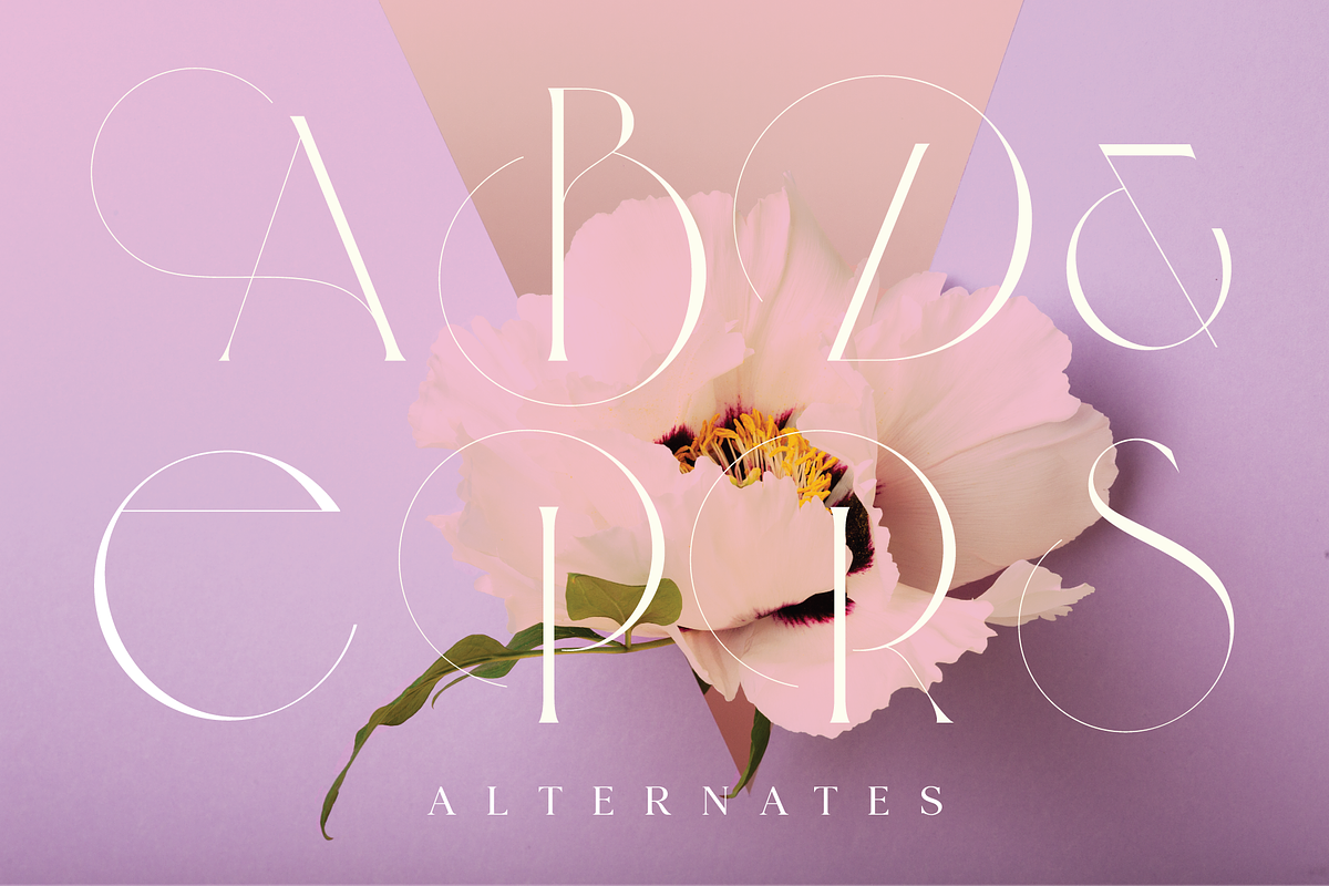 Veilan Serif Delicate font, a Serif Font by Andfonts (Photo 12 of 13)