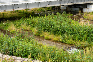 Flowing stream beneath modern steel, a Nature Photo by Elena Vagengeim