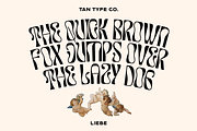 TAN - LIEBE, a Font by TanType (Thumbnail 2 of 12)