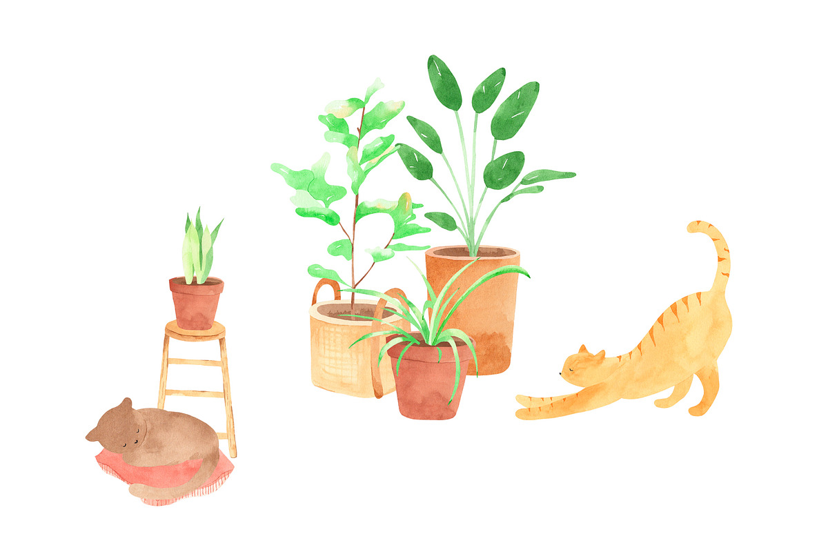 Plants & Cats Watercolor Clipart, an Animal Illustration by natalisart (Photo 11 of 13)