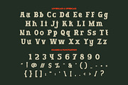 Rodeo Rebels - Display Typeface, a Slab Serif Font by PutraCetol Studio (Thumbnail 8 of 12)