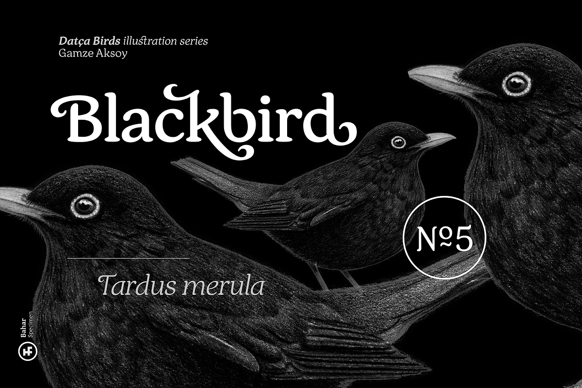 Bahar Serif, a Serif Font by Hurufatfont (Photo 12 of 16)