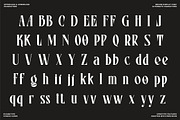 Erione – Bold Serif Font, a Serif Font by Randi Irvan | Rvandtype (Thumbnail 11 of 12)