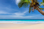 Tropical paradise beach stock photo containing beach and sand, a Nature Photo by Lucky Photographer (Thumbnail 3 of 3)