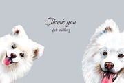 Samoyed dog watercolor clipart., an Animal Illustration by SavinV (Thumbnail 6 of 6)