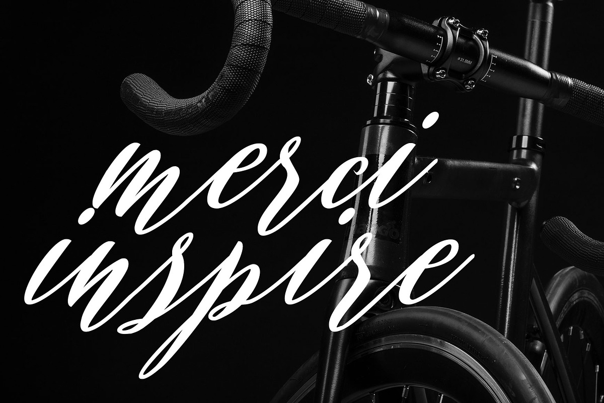 Evelyne script preview 8
