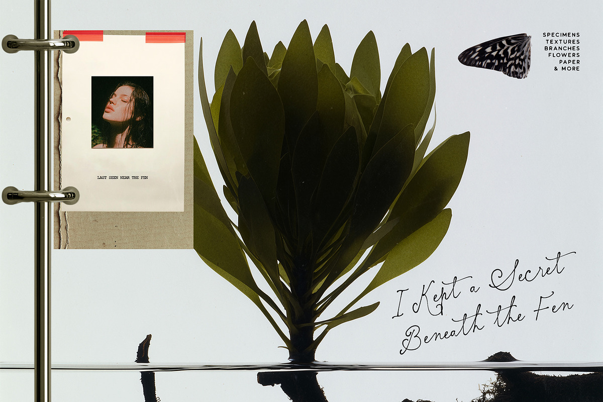 Botanical & Nature Collage Kit, an Object Graphic by Purple (Photo 2 of 11)