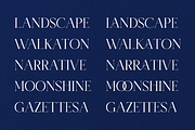 Lacroom - Modern Stylish, a Serif Font by RockboyStd (Thumbnail 9 of 12)
