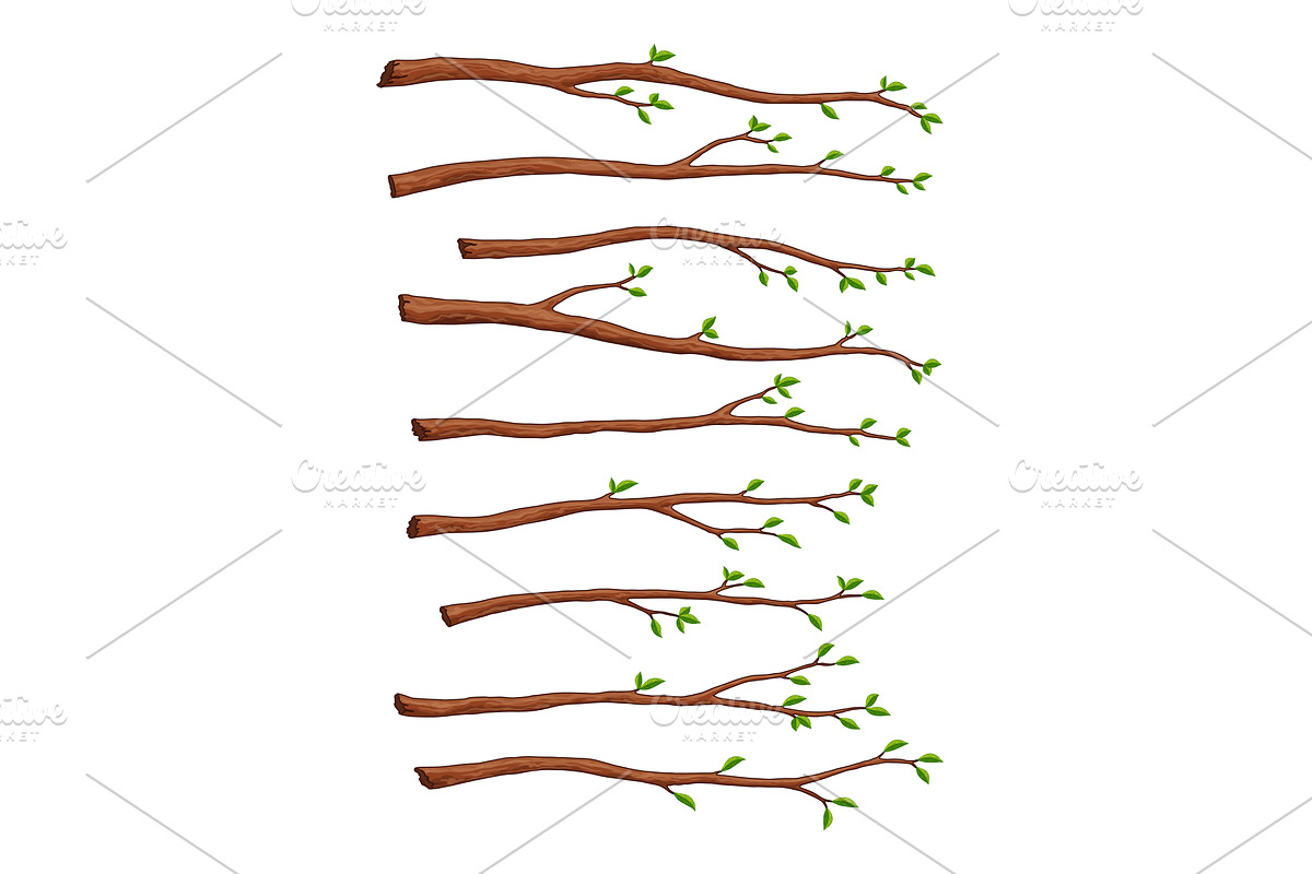 Tree branch set. Leafy plants twig, an Object Illustration by the8monkey