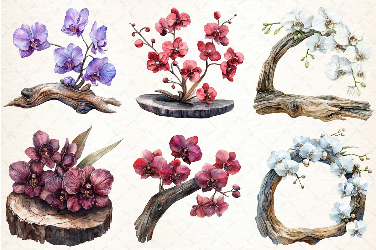 Exclusive Orchid Ikebana on Driftwoo, an Illustration by DreamCafeArt (Photo 3 of 7)