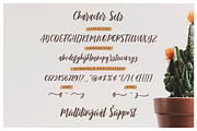 Mirabelle - Modern Script + Extras, a Script Font by Typehand Studio (Thumbnail 5 of 10)