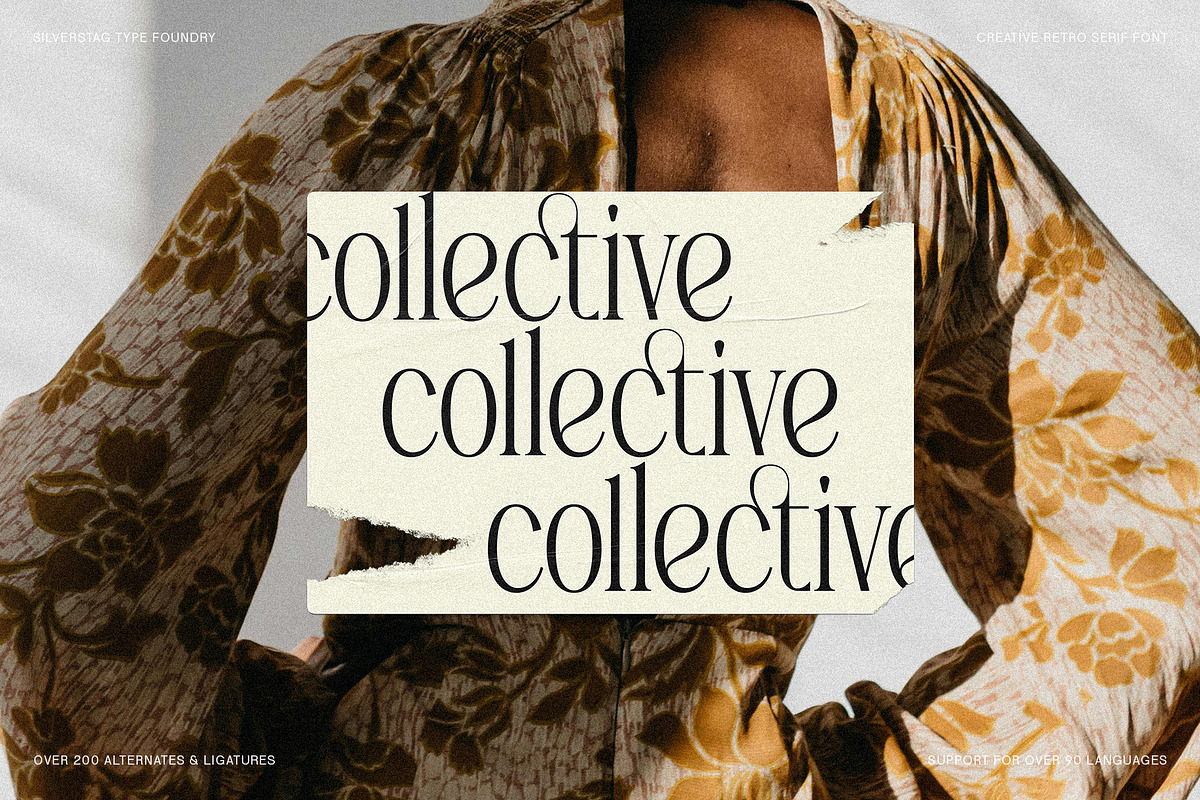 SLTF Rogue Rebellion - Ligature Font, a Serif Font by SilverStag Type Foundry (Photo 7 of 30)