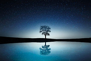 Night Sky Background Overlays, an Action Add-On by PhotoSpirit (Thumbnail 3 of 12)