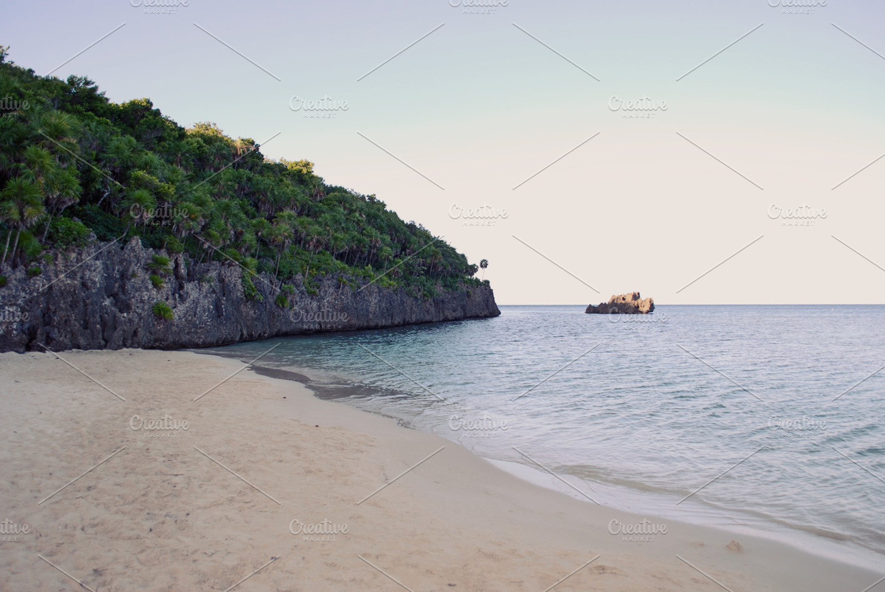 Beach And Coral Wall