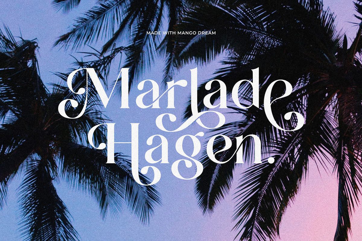 Mango Dream - Modern Retro Font, a Serif Font by Sans & Sons (Photo 4 of 6)