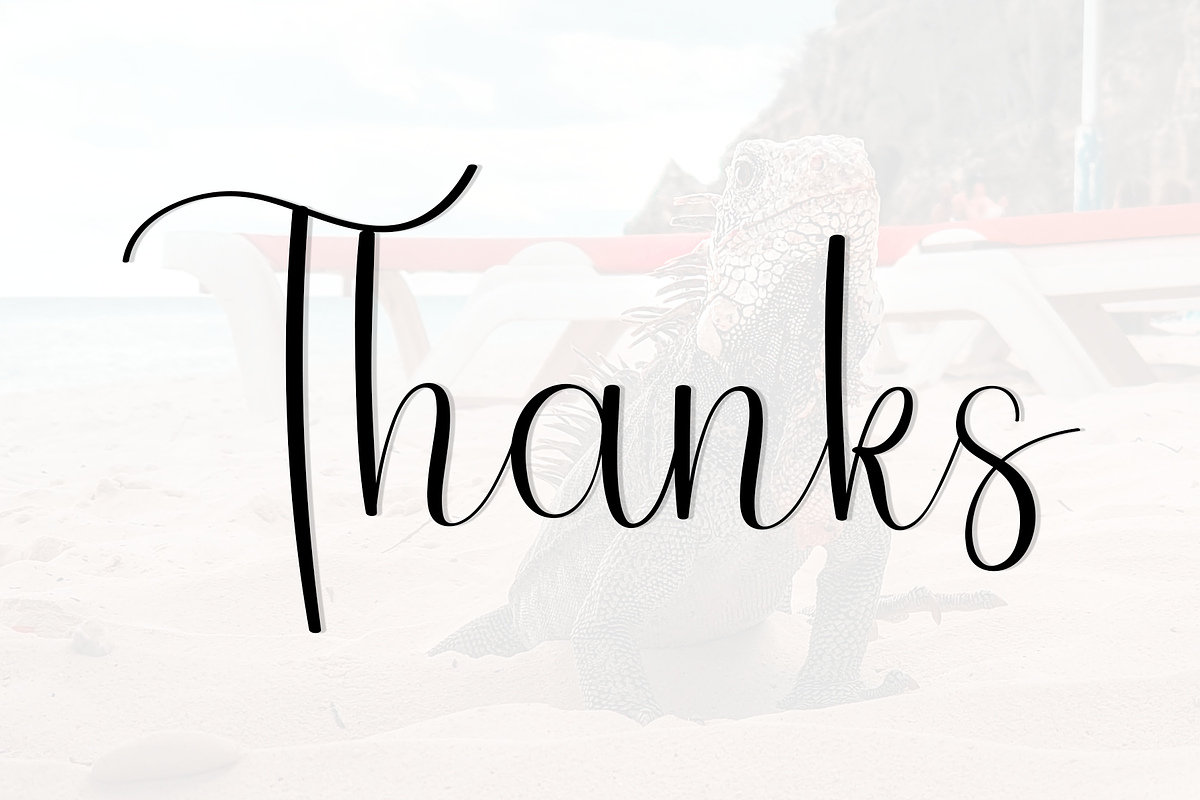 Animal Vacation, a Handwritten Font by InermediaSTUDIO (Photo 6 of 8)