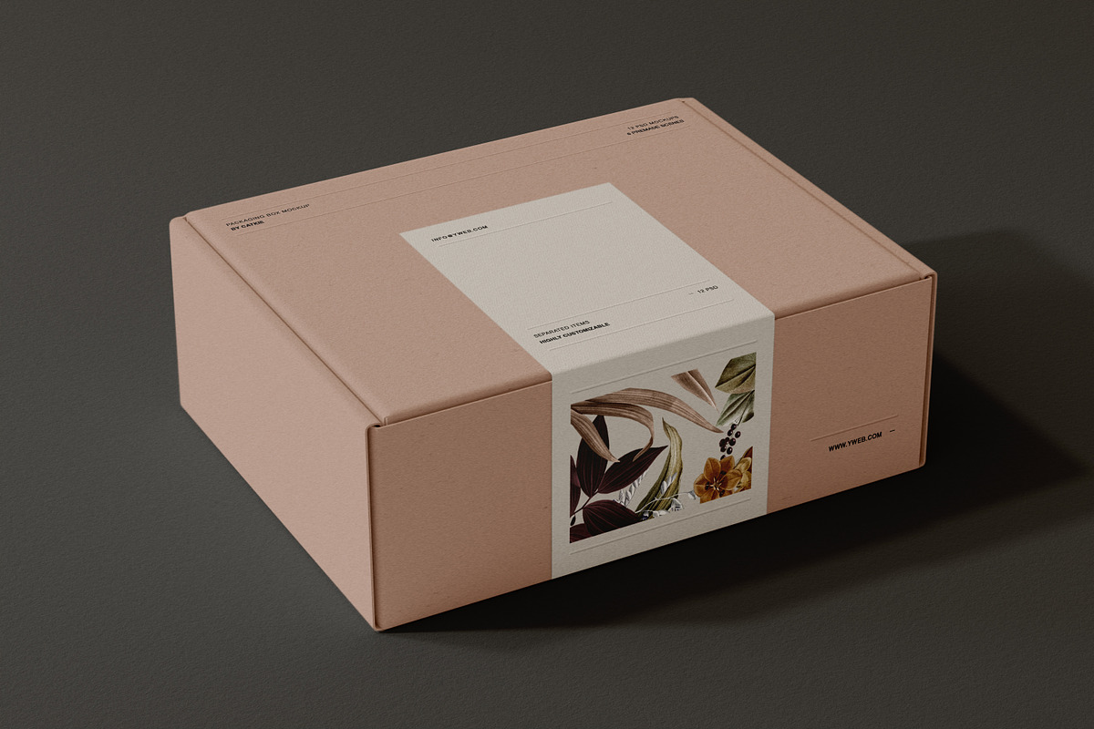 Shipping Box Mockup SIM. VOL1, a Packaging Mockup by Catkie - Digital Art (Photo 7 of 9)