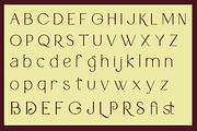 Latica Marcia - Font Duo, a Serif Font by Font Liner (Thumbnail 11 of 14)