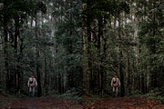 10 Forest Lightroom Presets, a Preset Add-On by RamsaGraphi (Thumbnail 5 of 10)