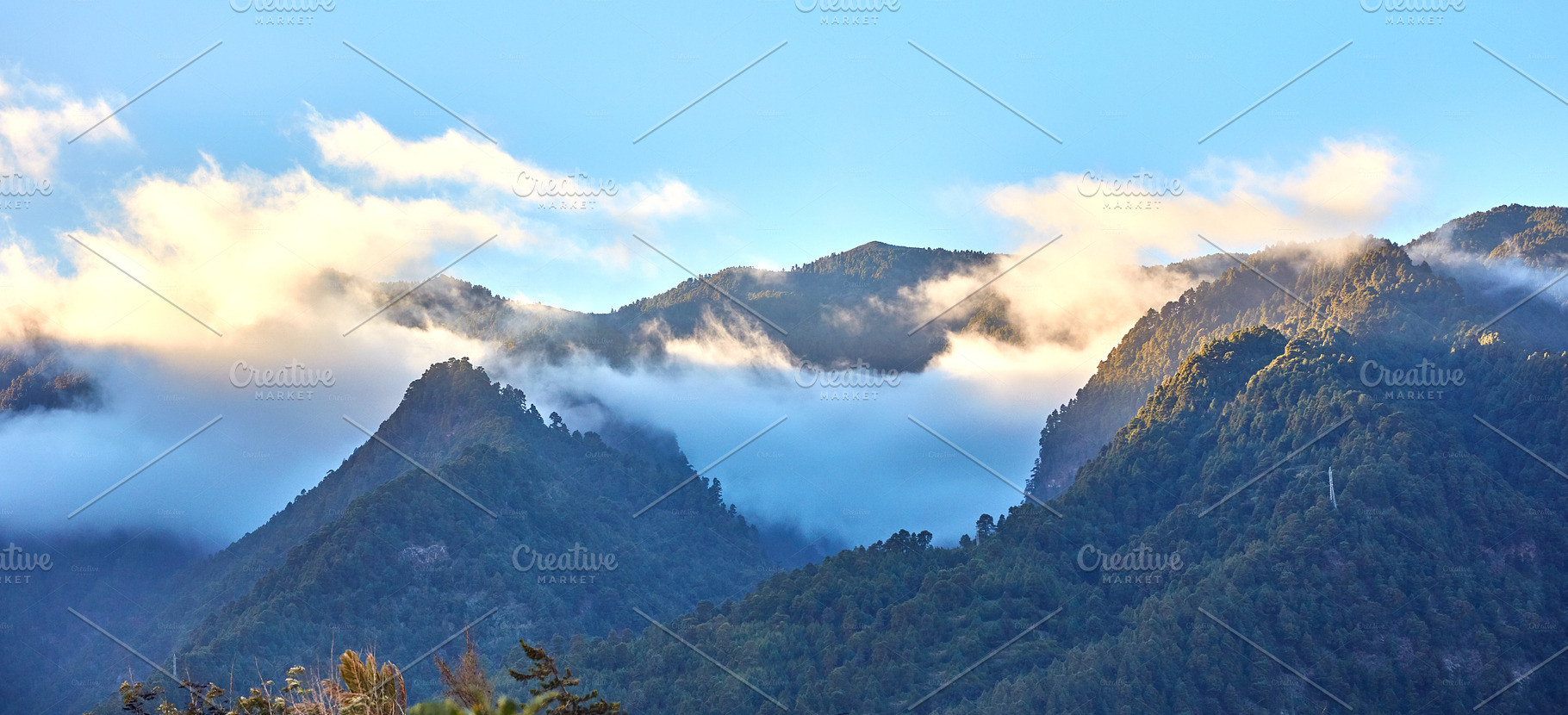 La Palma - landscape and nature, a Photo by Peopleimages.com