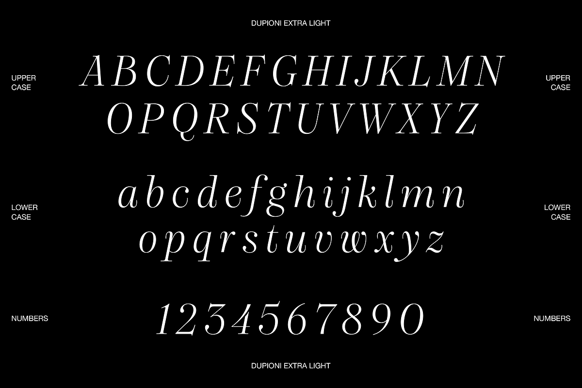 Dupioni - 6 font family, a Serif Font by Silktype (Photo 20 of 21)