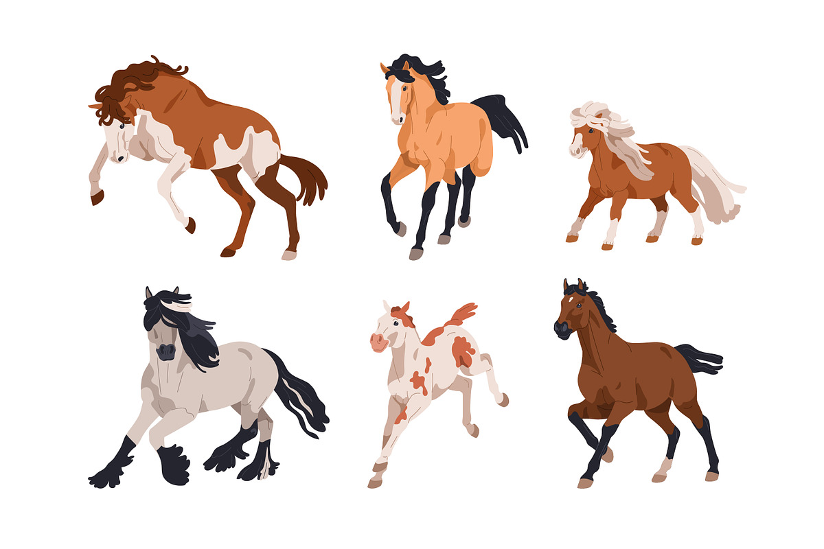Horses, equine animal breeds set, an Animal Illustration by Good Studio (Photo 3 of 5)