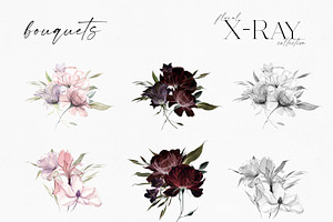 X-Ray Flowers Watercolor