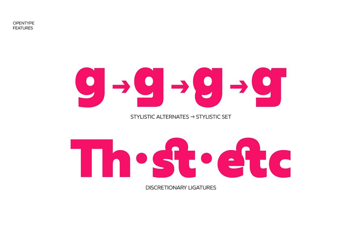 Neue Reman Grotesk, a Sans Serif Font by Propertype (Photo 9 of 14)