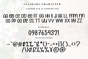 Simple Family, a Sans Serif Font by InermediaSTUDIO (Thumbnail 4 of 4)