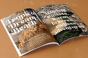 Artists Kindle Modern Serif Font, a Serif Font by timelesstype.co (Thumbnail 8 of 20)