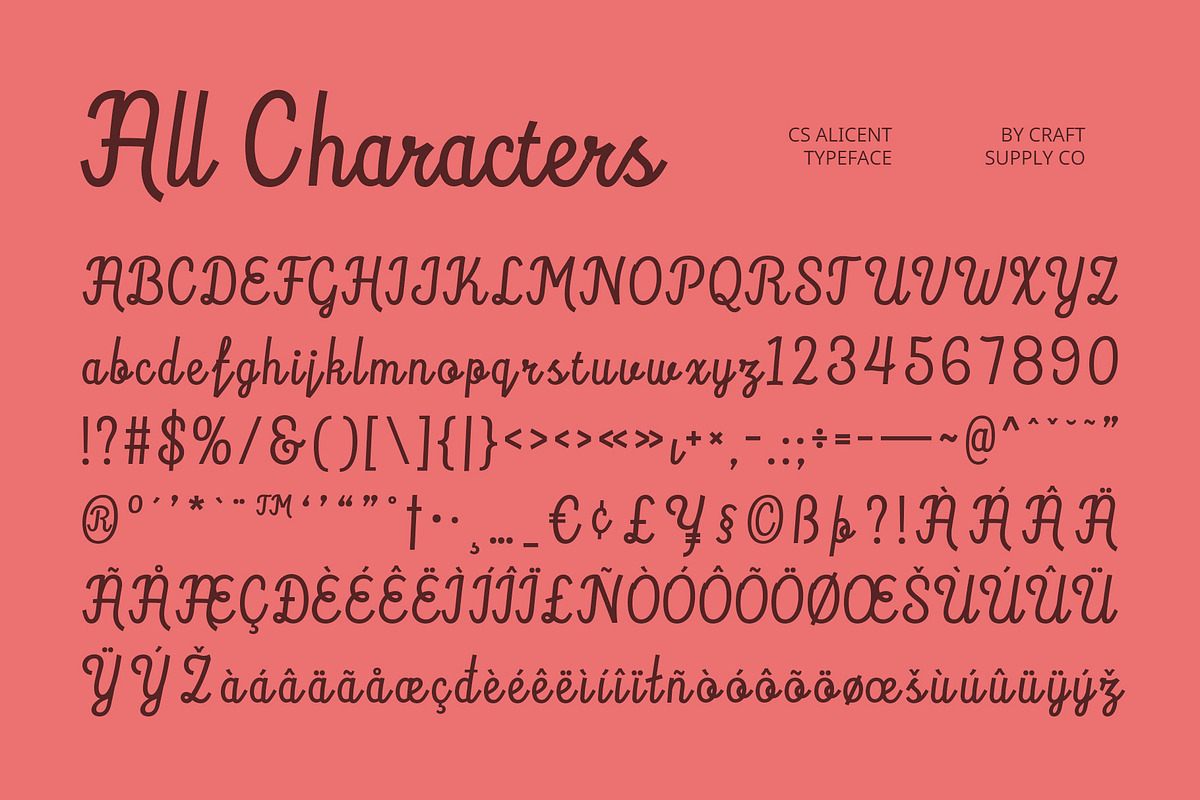 CS Alicent – Script Font, a Script Font by Craft Supply Co. (Photo 8 of 8)