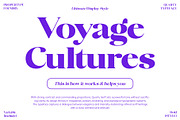 Quarty Serif, a Serif Font by Propertype (Thumbnail 10 of 14)