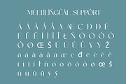 Megina Elegant Serif Typeface, a Serif Font by Alfinart (Thumbnail 10 of 10)